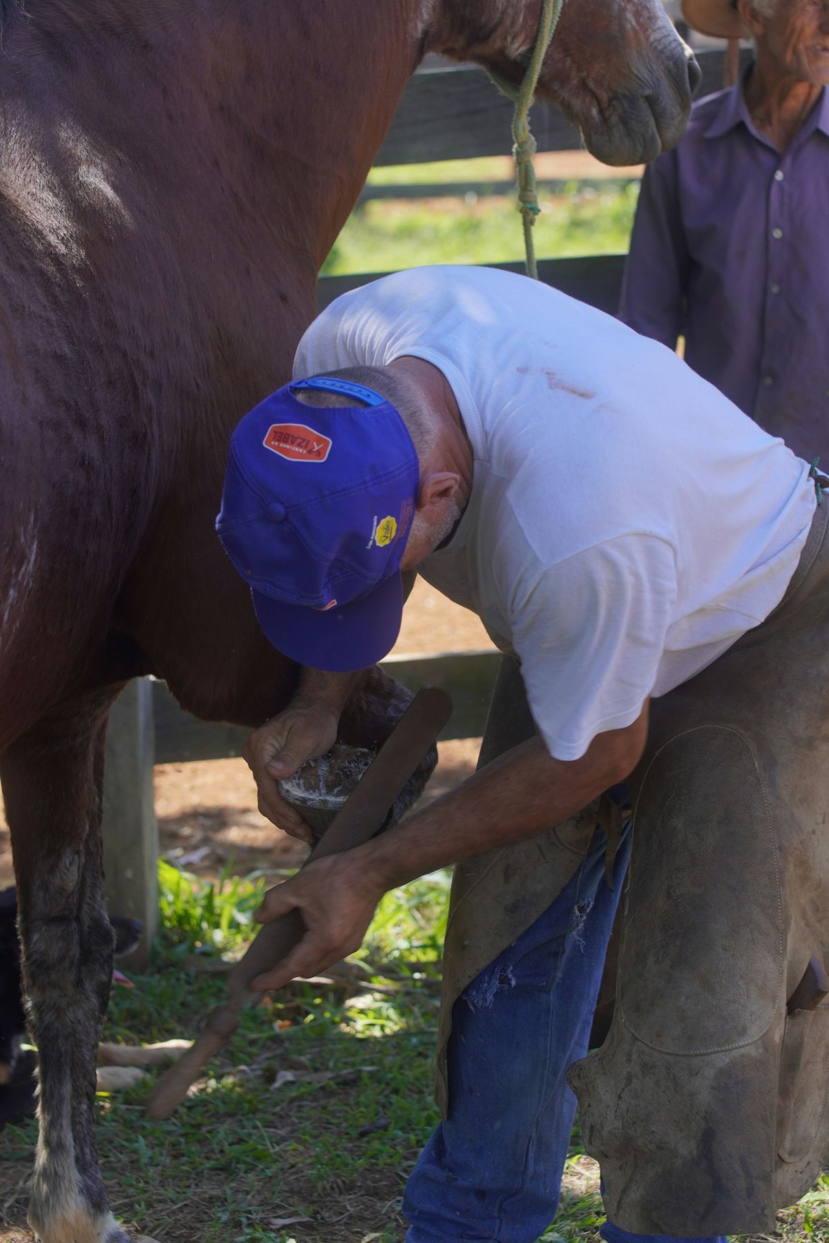 A farrier working on a horse’s hoof outdoors