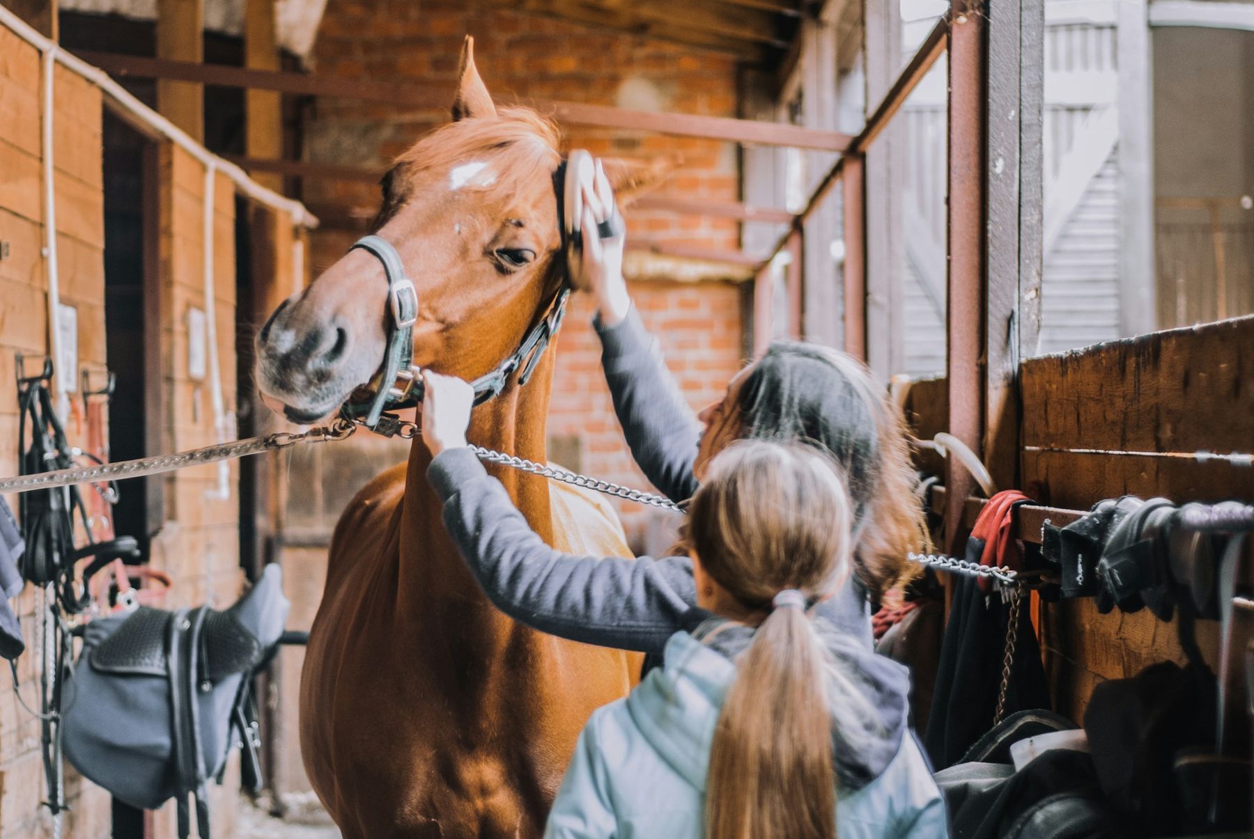 A young rider and an instructor grooming a horse in a stable aisle