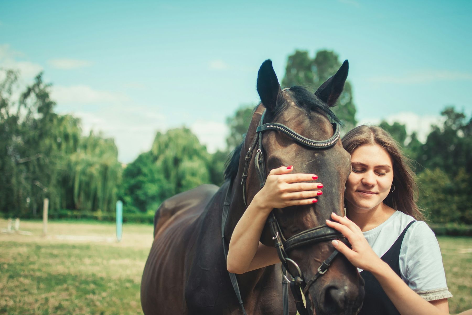 A smiling woman holding her bay horse’s head in a summer paddock