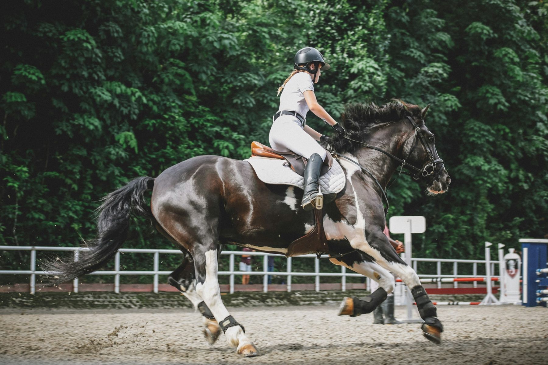 A rider jumping a paint horse in an outdoor arena